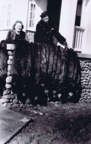 Silver foxes raised by Ida and Henry Tatum displayed at the entrance to the Lac La Biche Inn, 1945