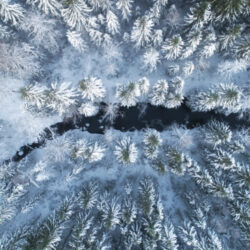 Aerial view of river and nordic forest covered by snow. Winter season.