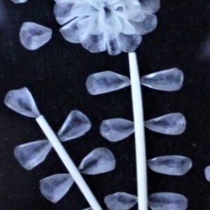 Fishscale Art_2_closeup